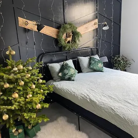 Greenspot - Loft With 2 Bedrooms And Free Parking リエパーヤ