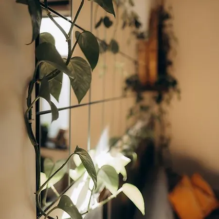 アパート Greenspot - Loft With 2 Bedrooms And Free Parking リエパーヤ