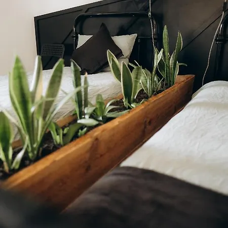 Apartment Greenspot - Loft With 2 Bedrooms And Free Parking