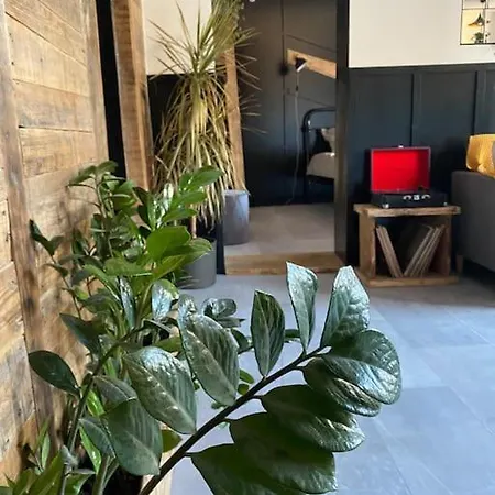 Greenspot - Loft With 2 Bedrooms And Free Parking Apartment *