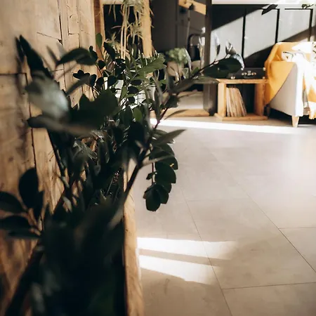 アパート Greenspot - Loft With 2 Bedrooms And Free Parking リエパーヤ